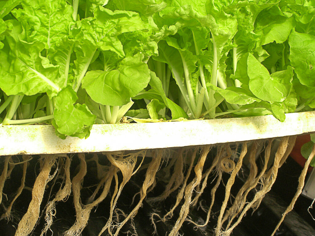 Types Of Hydroponics Systems