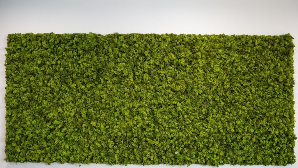Is An Artificial Moss Wall Worth It For The Home