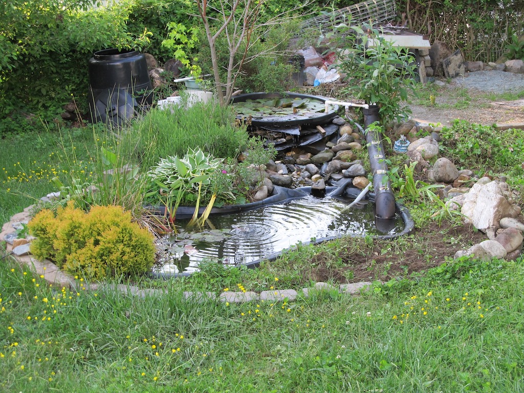 Best Patio Pond Kits For The Backyard