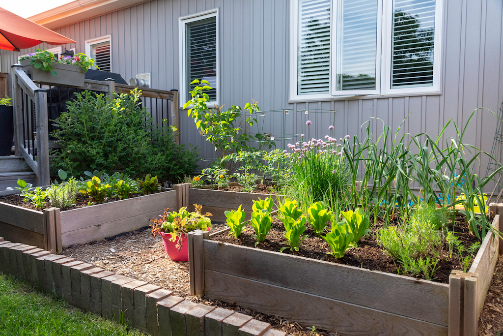 What Is Box Gardening And How To Get Started - The Green Garden Life