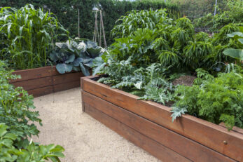 What Is Box Gardening And How To Get Started - The Green Garden Life