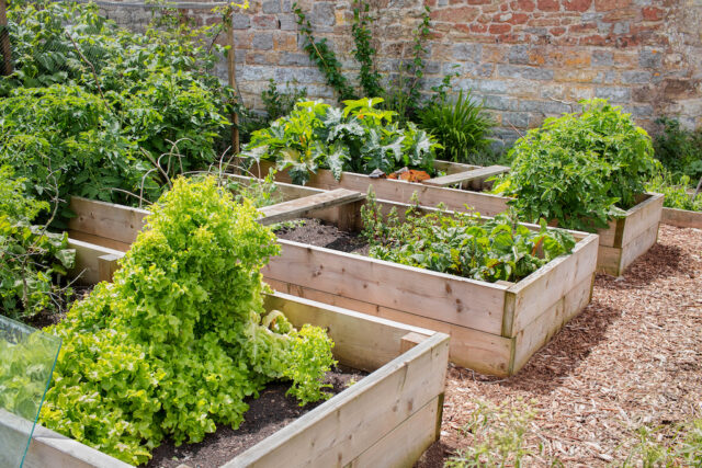 What Is Raised Bed Gardening - The Green Garden Life